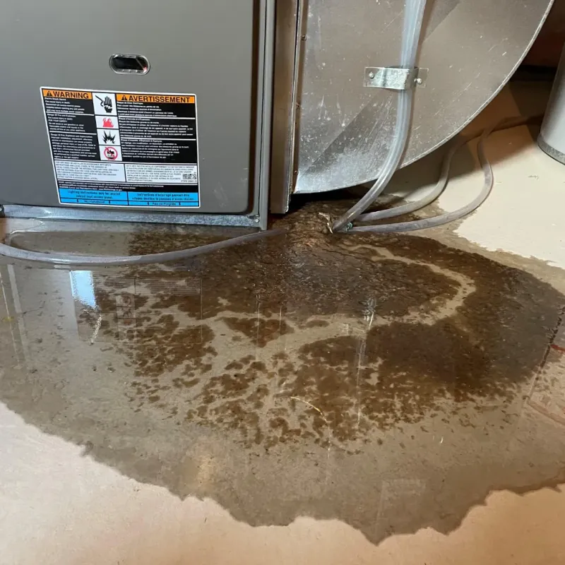 Appliance Leak Cleanup in Nashville, NC